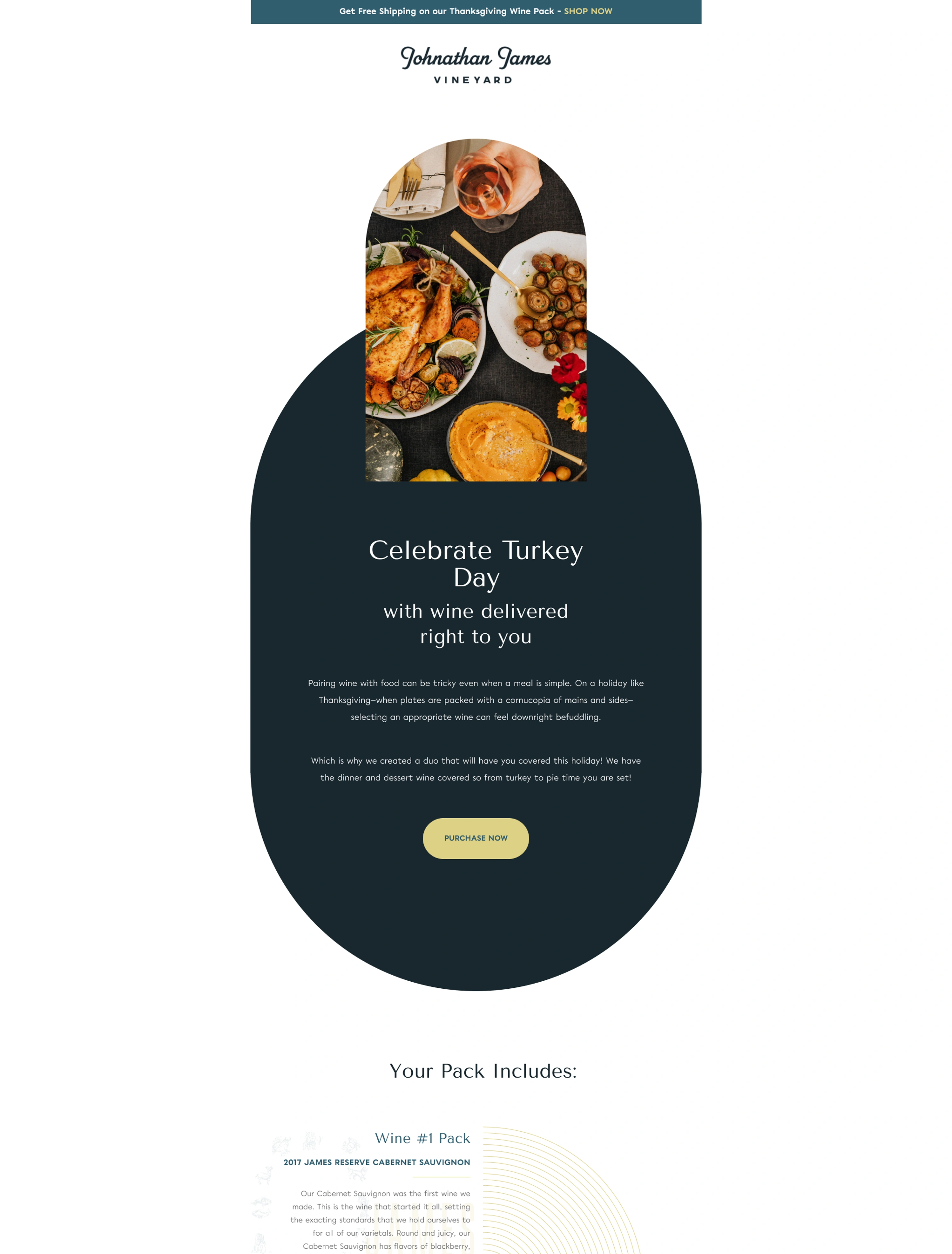 Email Design Cantina Vinicola